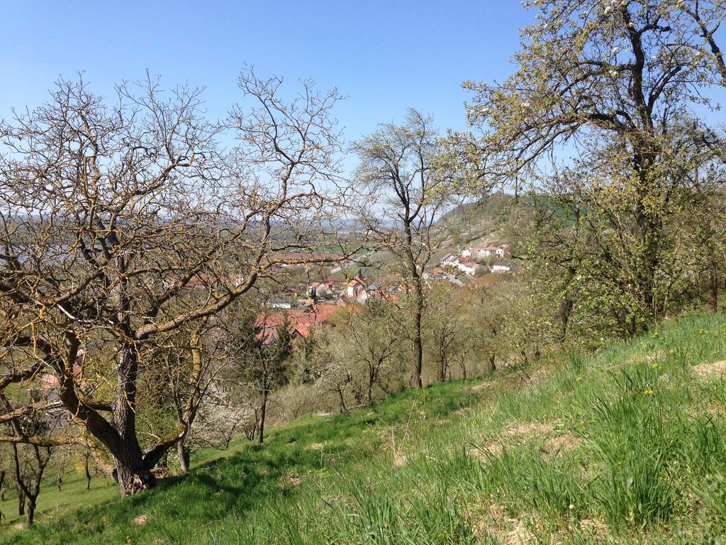 Alte Rose Gasthaus Ebelsbach Quarto foto